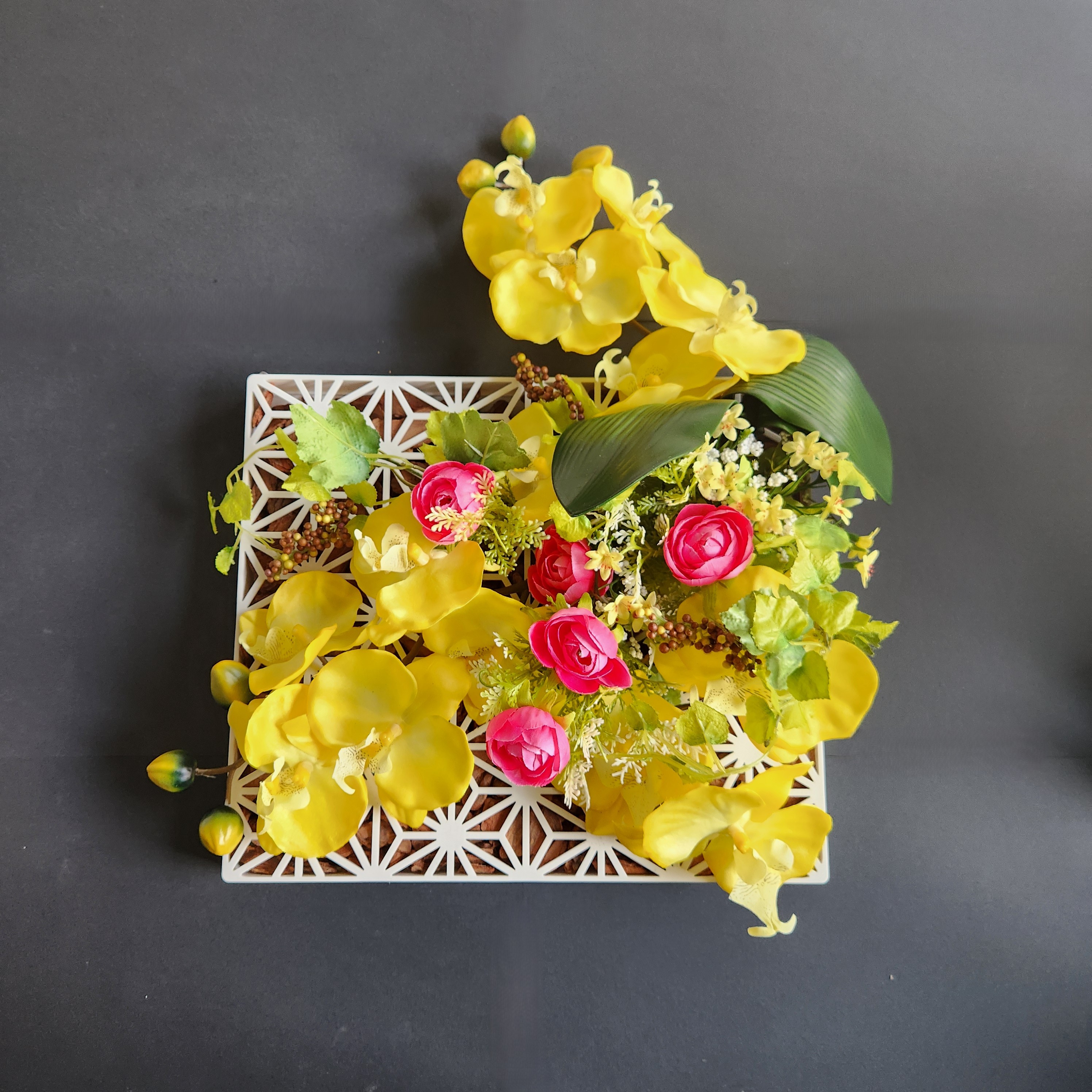 Epiphyti art products