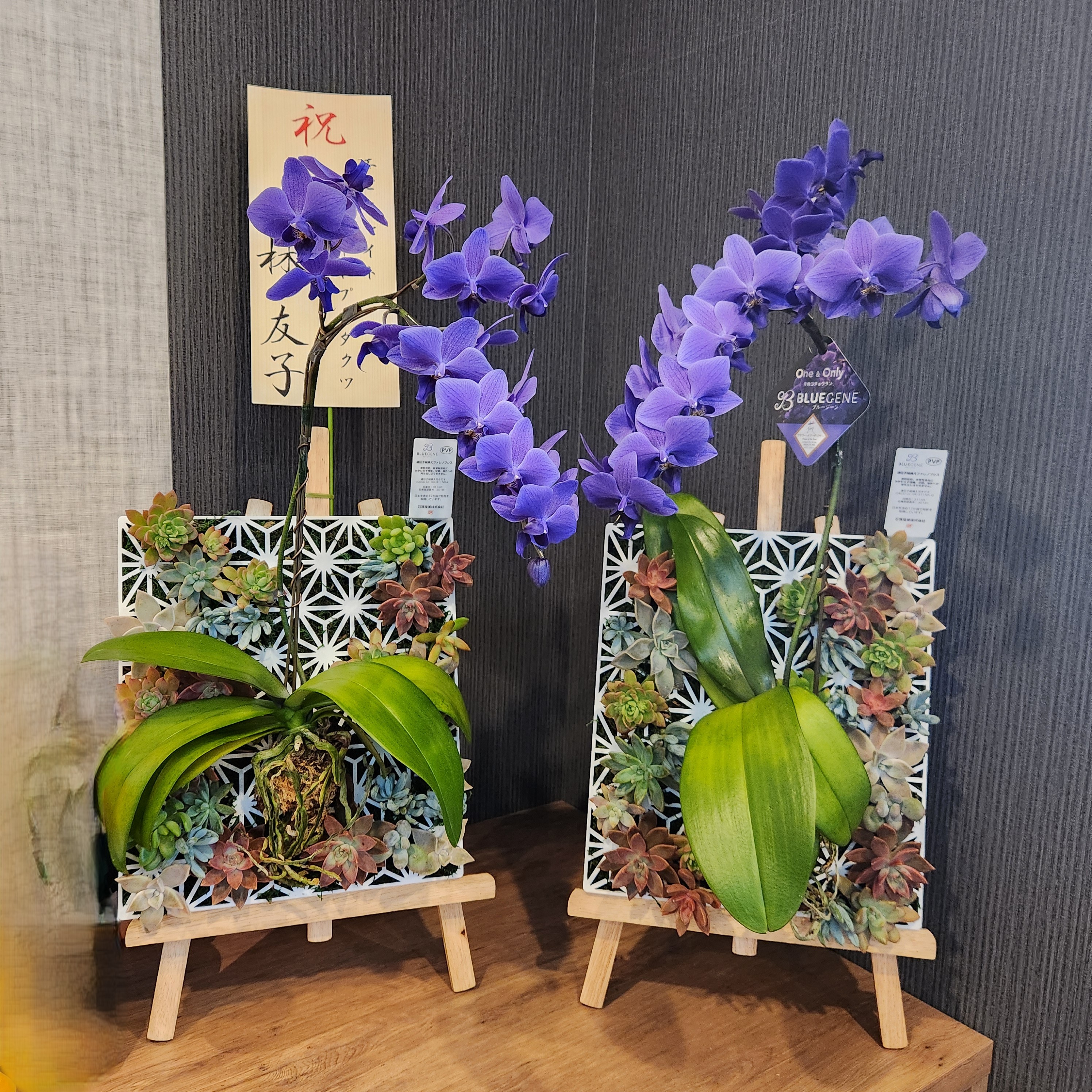 タイトル